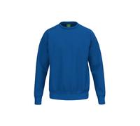 Sweatshirt child Erima TS 12 years
