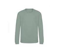 Sweatshirt child Just Hoods Awdis Vert 1/2 ans