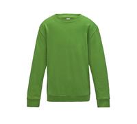 Sweatshirt child Just Hoods Awdis Vert 5/6 ans
