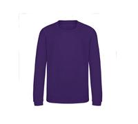 Sweatshirt child Just Hoods Awdis Violet 3/4 ans