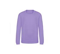 Sweatshirt child Just Hoods Awdis Violet 7/8 ans
