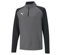 Sweatshirt child Puma Team Liga Gris 14 ans