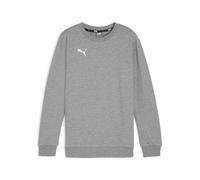 PUMA teamGOAL Casuals Crew Neck Sweat Jr