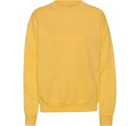 Sweatshirt Crewneck Colorful Standard Organic oversized burned yellow Jaune L