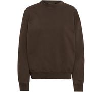 Sweatshirt Crewneck Colorful Standard Organic oversized coffee brown Marron M