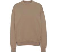 Sweatshirt Crewneck Colorful Standard Organic oversized desert khaki Beige XL