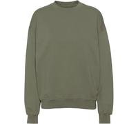 Sweatshirt Crewneck Colorful Standard Organic oversized dusty olive Vert M