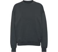 Sweatshirt Crewneck Colorful Standard Organic oversized lava grey Gris M