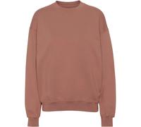 Sweatshirt Crewneck Colorful Standard Organic oversized rosewood mist Rose M
