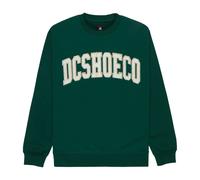 Dc Shoes Varsity Sweatshirt Green M Men