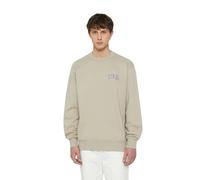 Sweatshirt Dickies Aitkin Gris S