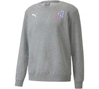 Sweatshirt Puma Neymar JR Creativity Crew M 605562 06