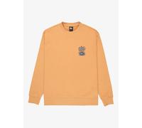 Sweatshirt Quiksilver Salt Water Graphic Beige XS