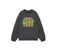 Sweatshirt Teenage Mutant Ninja Turtles Grey XL