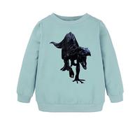 Sweatshirts for Kids Boys Girls Unisex Jumper Long Sleeve Pullover Crewneck Toddler Cotton Casual School Uniform Clothes Age 1-7 Years Light Green