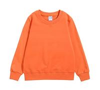 Sweatshirts for Kids Boys Girls Unisex Jumper Print Sweatshirt Sweater Jumber Full Sleeve New Casual Fashion Outdoor Activewear Clothes Age 1-7 Years