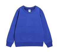 Sweatshirts for Kids Boys Girls Unisex Jumper Print Sweatshirt Sweater Jumber Full Sleeve New Casual Fashion Outdoor Activewear Clothes Age 1-7 Years Blue