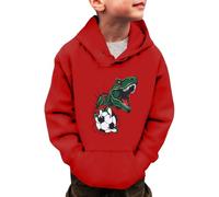 Sweatshirts for Kids Comfortable Hooded/Sweatshirt Long Sleeve Pullover Breathable, Lightweight Warm Soft Sweatshirt Varsity Hoodie Children Clothes Unisex Red