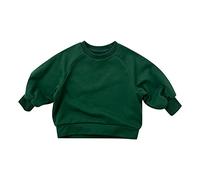 Sweatshirts for Kids Sweatshirt Unisex Print Sweater Jumber Full Sleeve New Casual Fashion School Jumper Clothes Age 1-7 Years Green