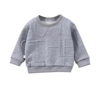Sweatshirts for Kids Toddler Boys Pullover Jumper Long Sleeve Graphic Tops Cute Casual T Shirt Fall Outdoor Activewear Clothes Age 1-7 Years Grey