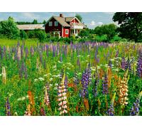 Swedish Farm (Puzzle Highlight, Scandinavian)