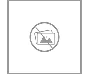 Sweeek - Garden Shelter 2.71M² With Anchor Kit Houtland Anthracite 213X131X185 Cm