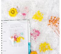 Sweelov 50 Pcs DIY Transparent Dried Flower Bookmark Set, Include Clear Bookmarks, Colorful Tassels, Tweezer and Open Tags, Handmade Large Size Dried Floral Bookmark Book Markers Page(Storage Jar)