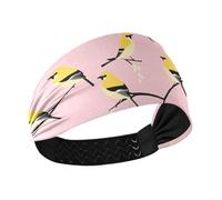 Sweet American Goldfinch Birds Blush Moisture Wicking sweat absorbing headband Stretchy sweat band for make up Cycling washing face make upColorful Duchshund Dog Stars