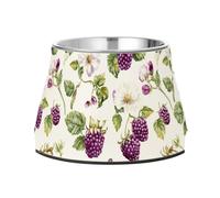 Sweet Berry Fruits Purple White Pets Food Bowls Elevated Stainless Steel Cats Basic Bowls for Loving Pet Whisker Fatigue
