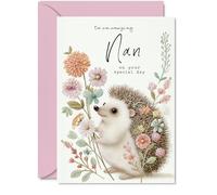 Sweet Birthday Card for Nan - Charming Hedgehog and Flowers Scene - Soft Pastel Colours for a Cheerful Touch, Mothers' Day - 5x7 Inch, Envelope Included