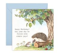 Sweet Birthday Card Wish - Hedgehog Simple Joys - Gifts for Son, Daughter, Friends, Niece, Nephew, Brother, Sister, Him, Her, Ladies, Women, Men - Animals - Comes with Fun Stickers