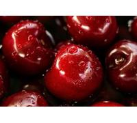 Sweet Black Cherry Wax Melts | 20x 7g Strong Scented | Luxury Gift Set Wax Melts | Over 100Hrs Burn Time Per Box | Vegan & Pet Friendly | Cruelty & Eco Friendly | Handcrafted UK