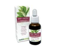 Sweet Chestnut (Castanea Sativa) Naturalma Bach Flowers - Drops 30 ml - Alcohol-Free Liquid Extract - Flower essences - Vegan and Without Alcohol