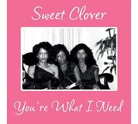 SWEET CLOVER - YOU'RE WHAT I NEED [VINYL]
