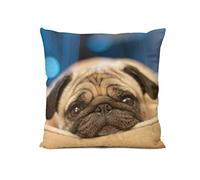 Sweet Cute Pug Dog Home Bedroom Cushion Pillow Covers Sofa Couch Decorative Square Throw Pillow Case 18x18 In