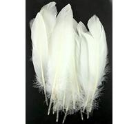 Sweet Dixie, Feather, White, Large