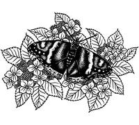 Sweet Dixie Stamps, Various