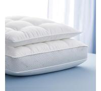 Sweet Dreams Cotton Rich Bed Pillow with Breathable Air Mesh Sides, Bounce Back Hollowfibre Filling, Medium Support Pillow for Side & Back Sleepers, Hotel Quality Pillows (Pack of 1)