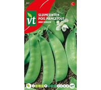 Sweet Horizon Peas Seeds per gram - Mangetout peas - 50 g - Seeds per gram: 3