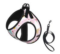 Sweet Ice Cream Print Dog Harness Small Sized And Leash Set, Step In Soft Light Puppy Vest Breathable Mesh Pet Harness