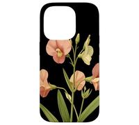 Sweet Pea Flower Scientific Name Vintage Illustration Flora Case for iPhone 14 Pro