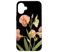Sweet Pea Flower Scientific Name Vintage Illustration Flora Case for iPhone 16 Plus