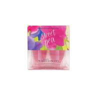 Sweet Pea Wallflowers Home Fragrance Refills 2 Bulbs