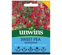 Sweet Pea Westminster