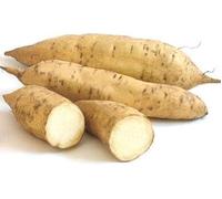 Sweet Potatoes White || For Chips, roasting, baking, wedges, salad || Uganda || 1.5 KG || FPG4U || Fresh Tasty Potatoes (1.5 KG)