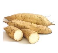 Sweet Potatoes White|| For Chips, roasting, baking, wedges, salad || Uganda || 3 KG || FPG4U || Fresh Tasty Potatoes (3KG)