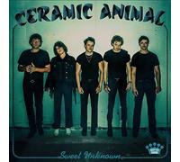 Sweet Unknown by Ceramic Animal (Record, 2022)