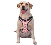 Sweet Watermelon Pattern Dog Harness - Lightweight,Soft,Adjustable Small Harness and Leash Set, Suitable for Puppy Small and Medium-Sized Dog-Small