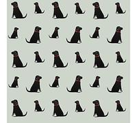 Sweet William Black Labrador Wallpaper