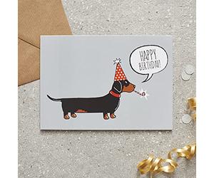 Sweet William Dachshund Birthday Cards (Pack of 6)